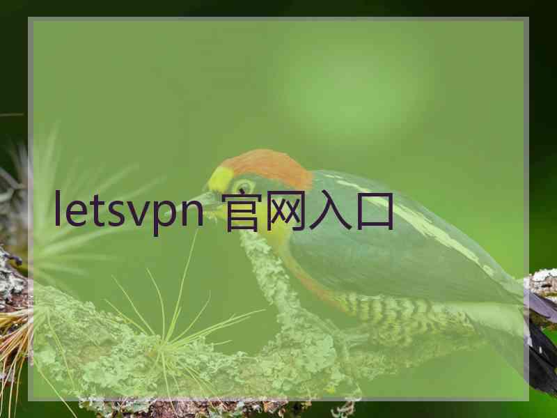 letsvpn 官网入口