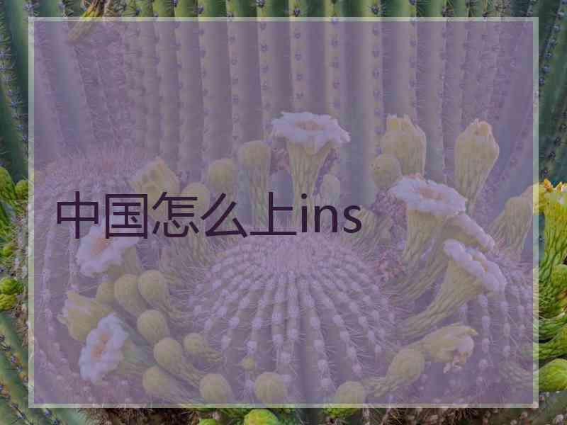 中国怎么上ins