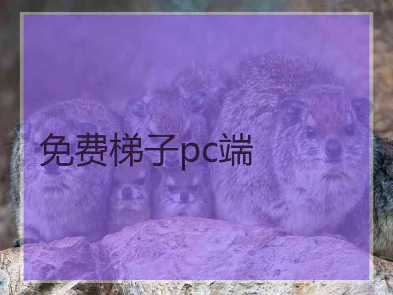 免费梯子pc端