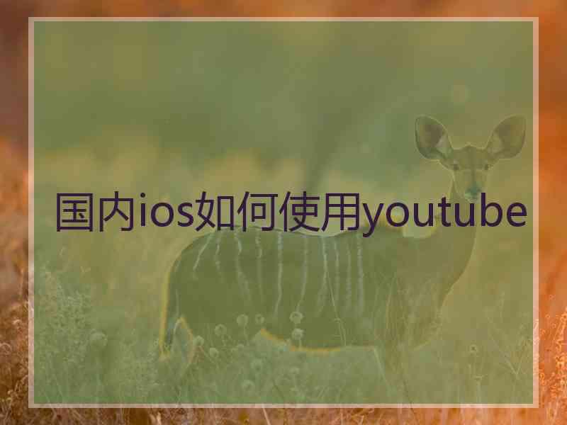 国内ios如何使用youtube