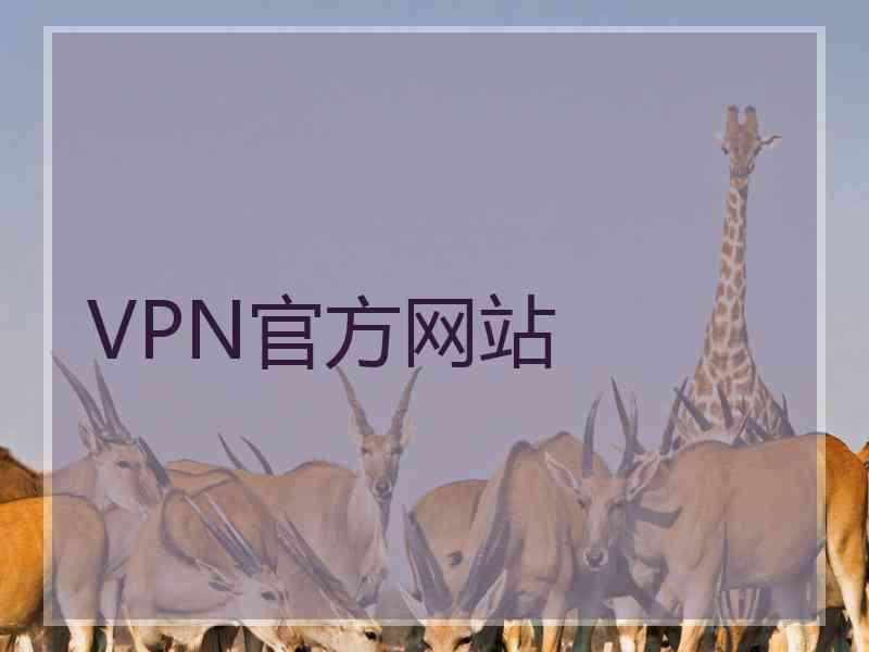 VPN官方网站