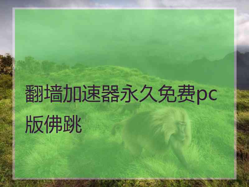 翻墙加速器永久免费pc版佛跳