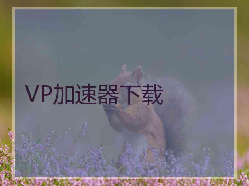 VP加速器下载