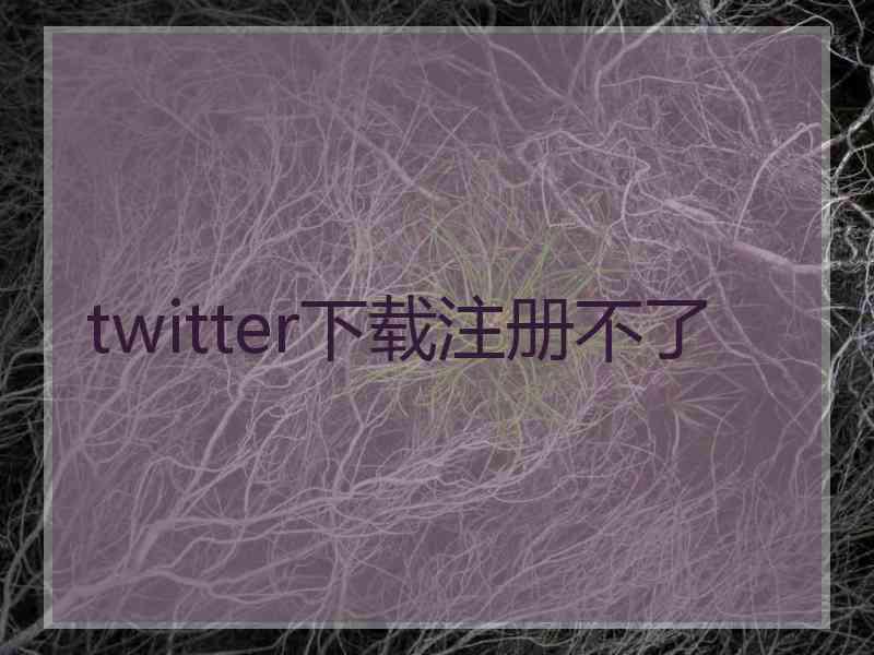 twitter下载注册不了