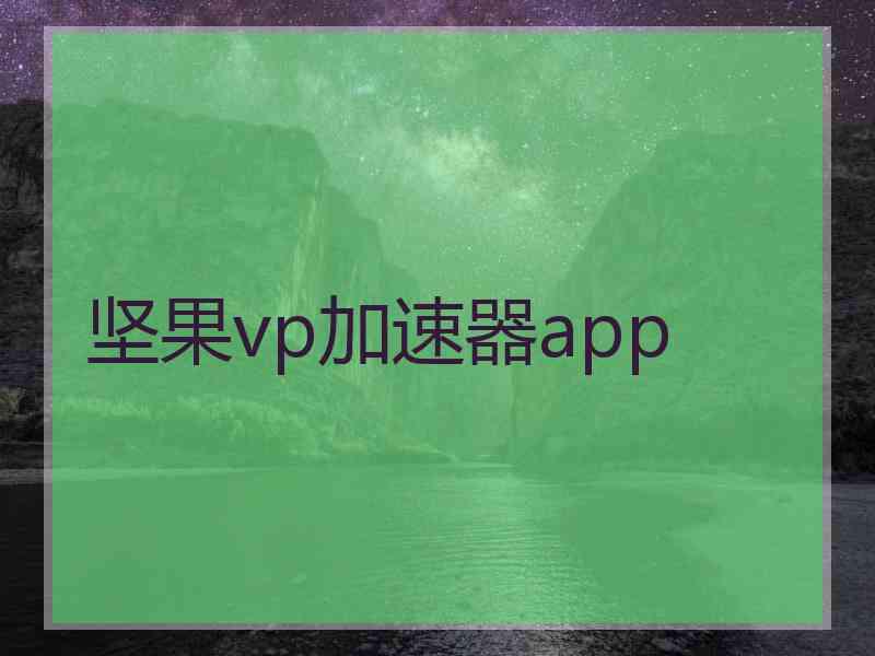 坚果vp加速器app