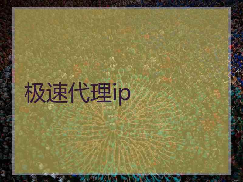 极速代理ip