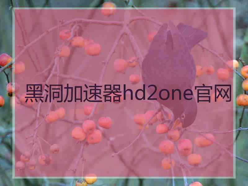 黑洞加速器hd2one官网