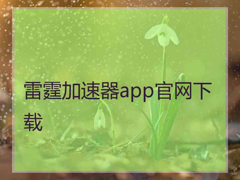 雷霆加速器app官网下载