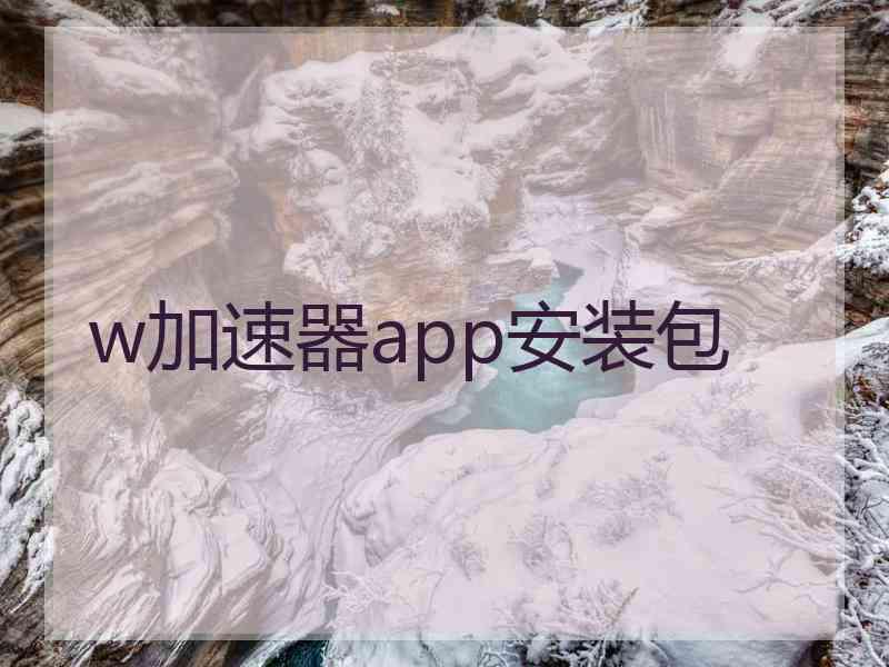 w加速器app安装包