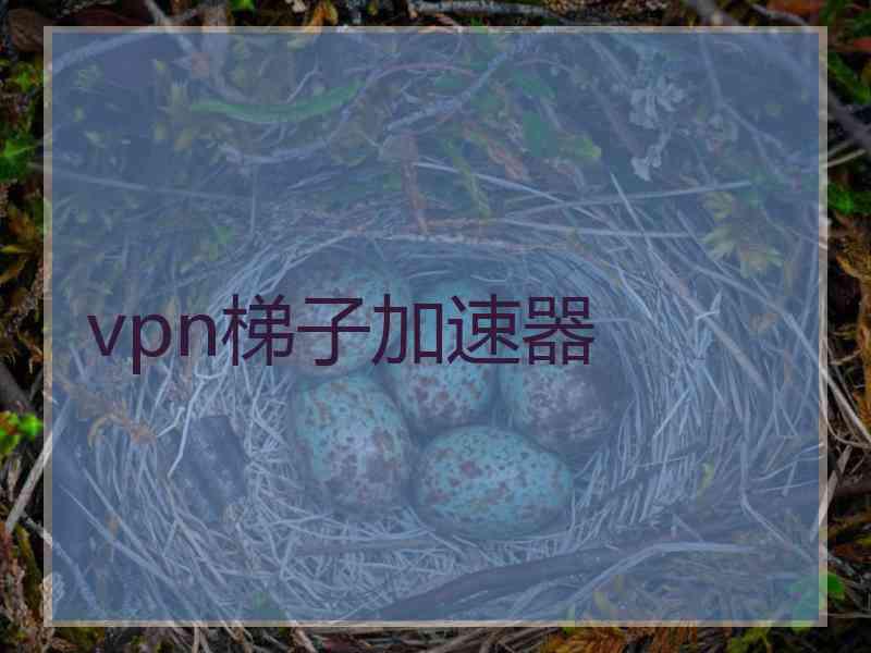 vpn梯子加速器