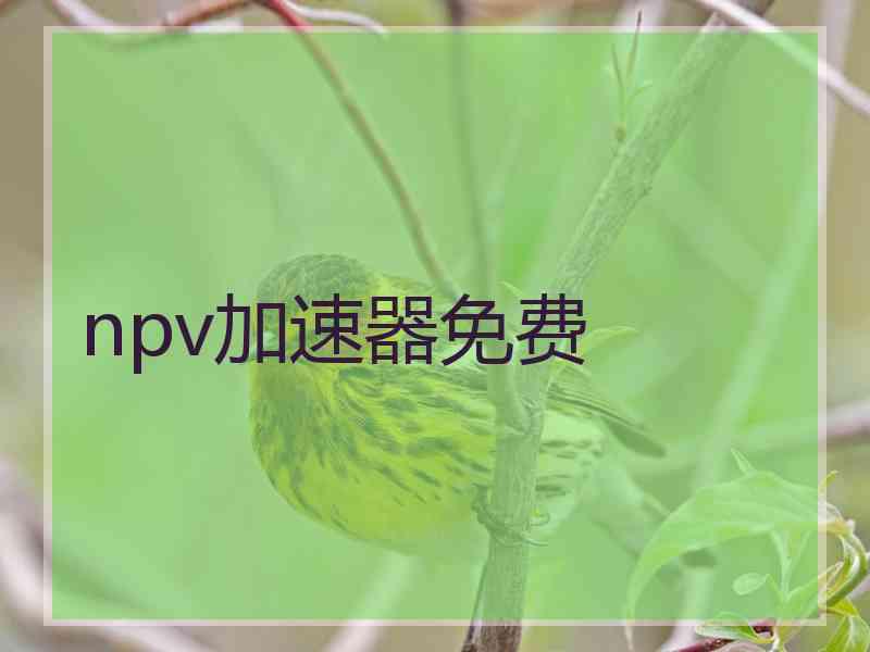 npv加速器免费