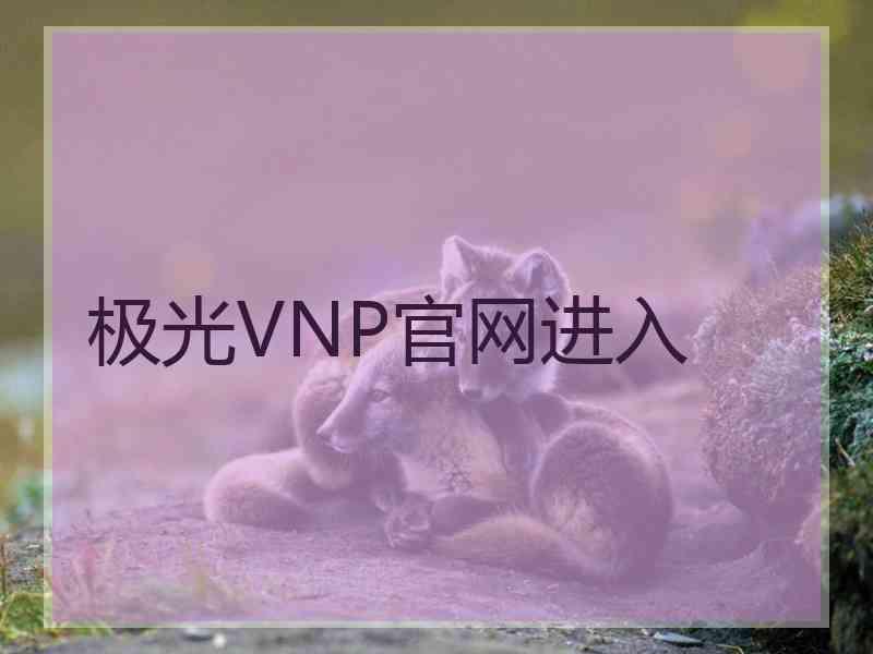 极光VNP官网进入