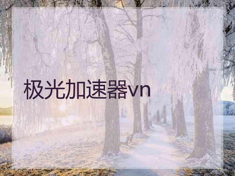 极光加速器vn