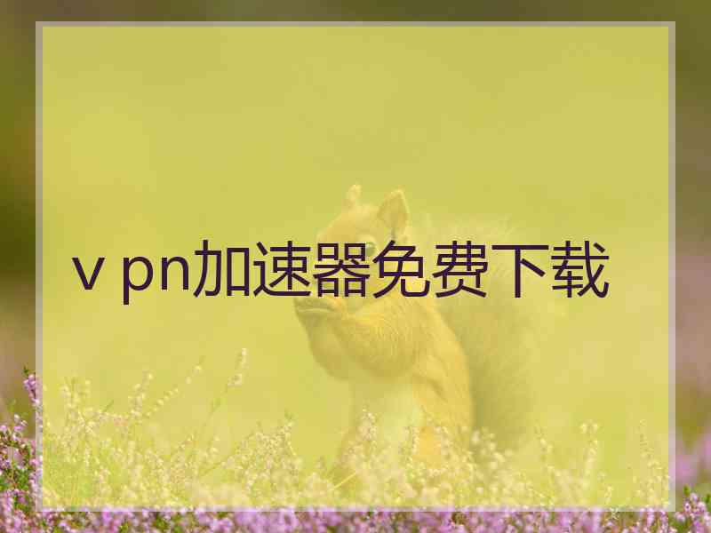 ⅴpn加速器免费下载