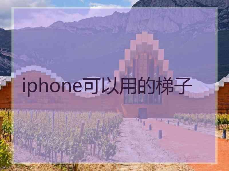 iphone可以用的梯子