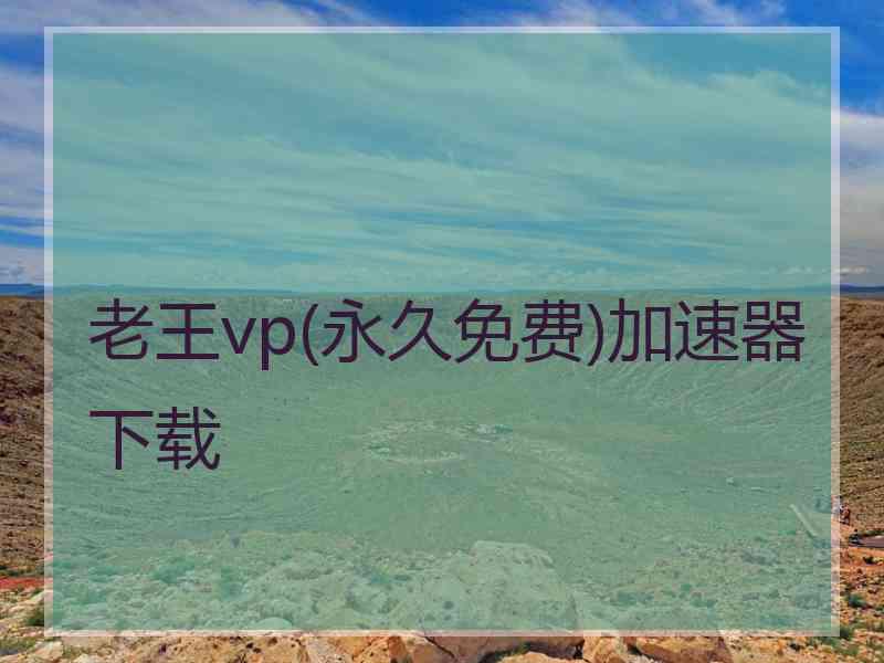 老王vp(永久免费)加速器下载