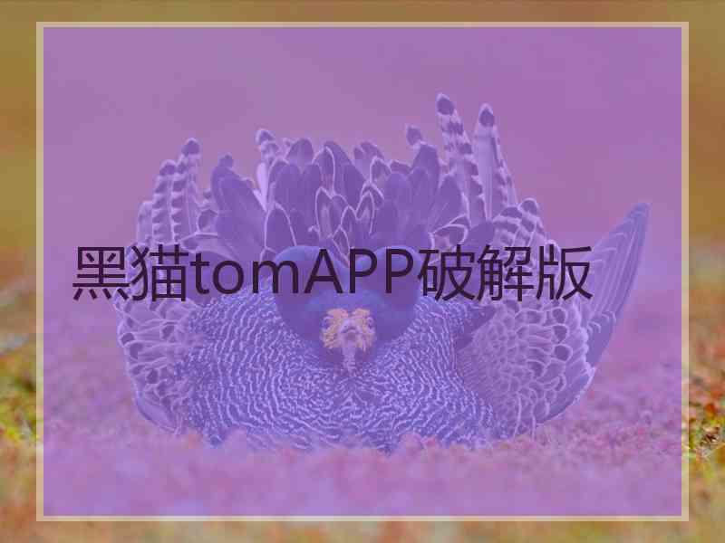 黑猫tomAPP破解版