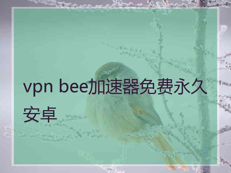 vpn bee加速器免费永久安卓