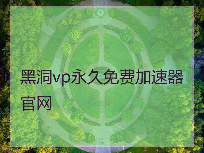 黑洞vp永久免费加速器官网