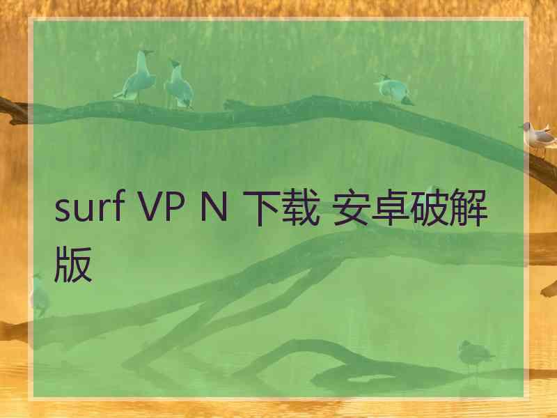 surf VP N 下载 安卓破解版