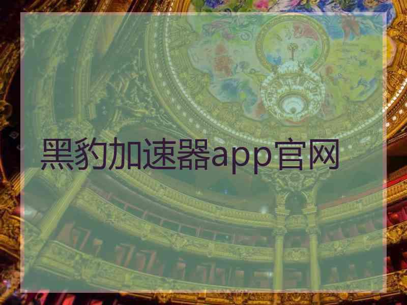 黑豹加速器app官网