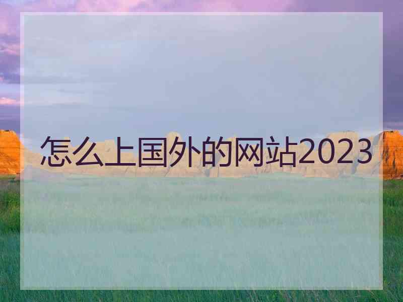 怎么上国外的网站2023