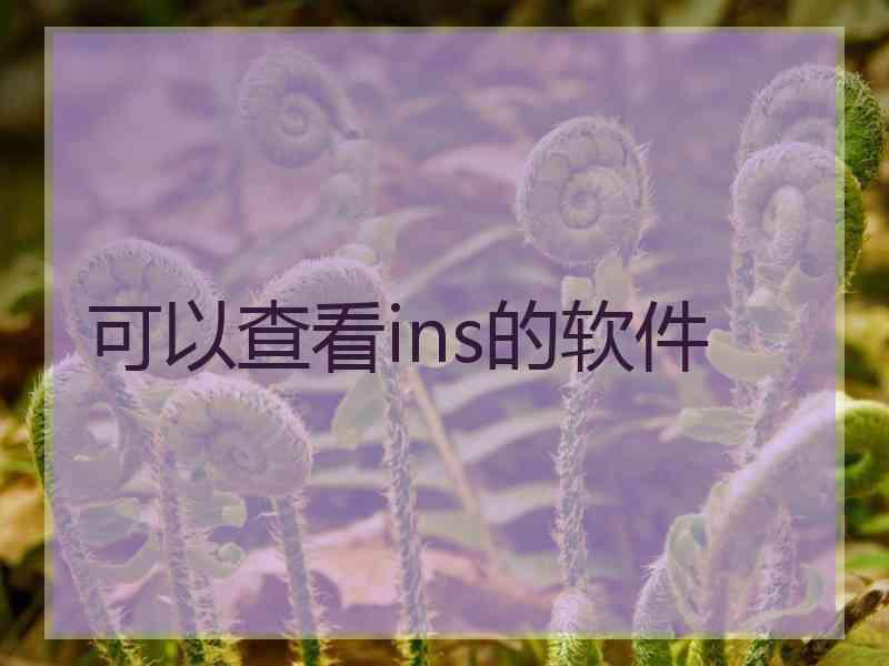 可以查看ins的软件