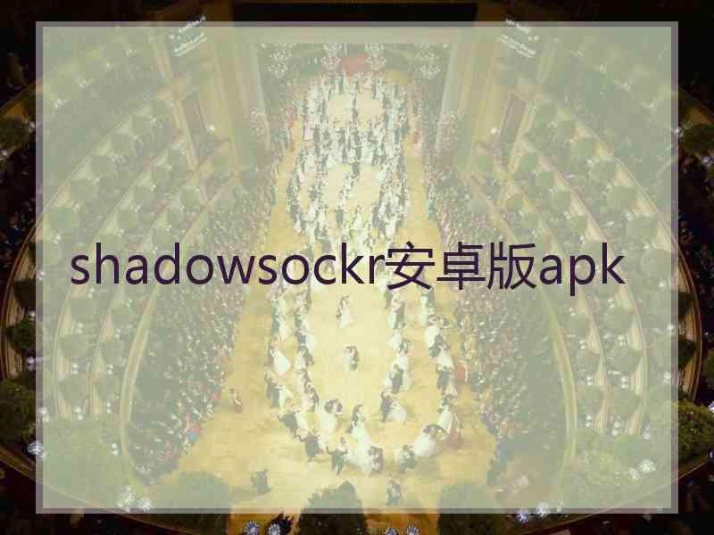 shadowsockr安卓版apk