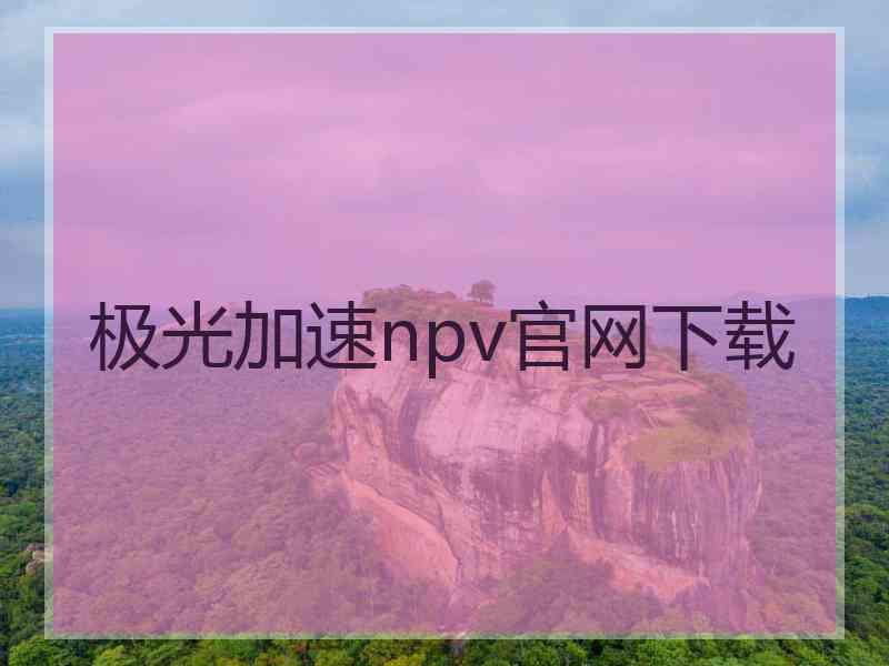 极光加速npv官网下载