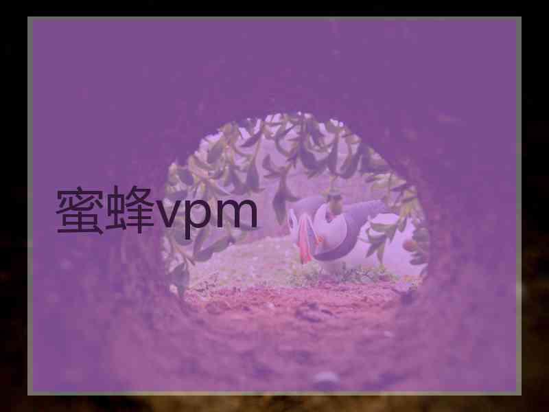 蜜蜂vpm