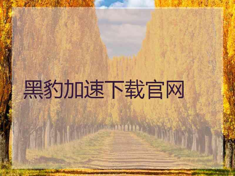 黑豹加速下载官网