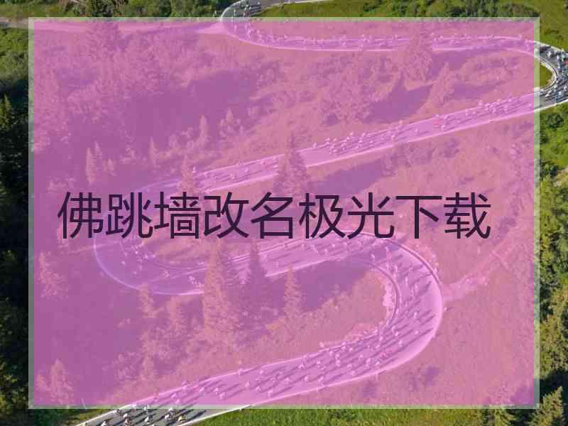 佛跳墙改名极光下载