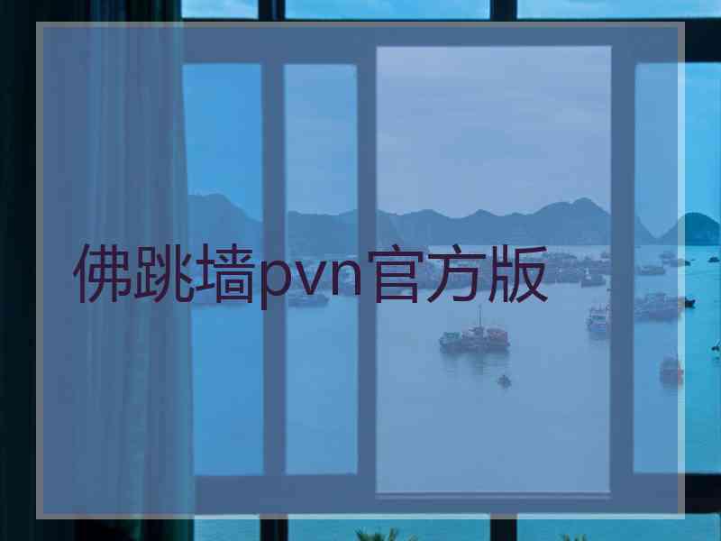 佛跳墙pvn官方版