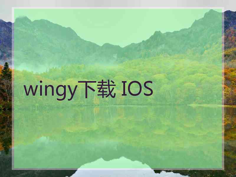 wingy下载 IOS