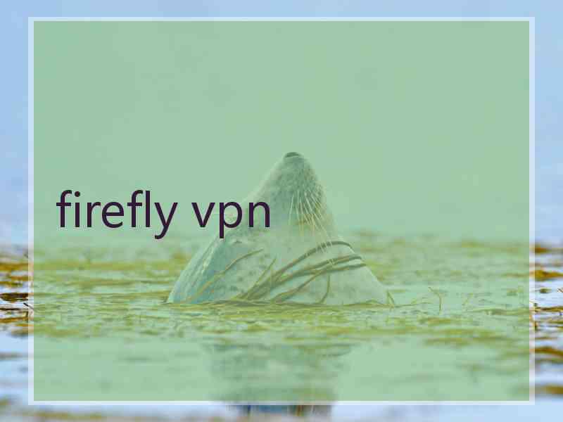 firefly vpn