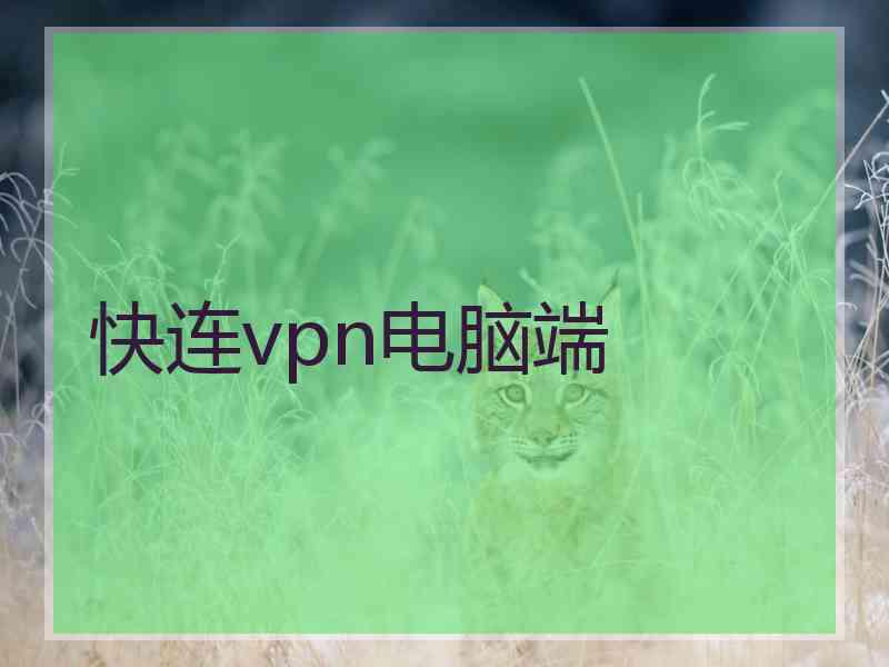 快连vpn电脑端