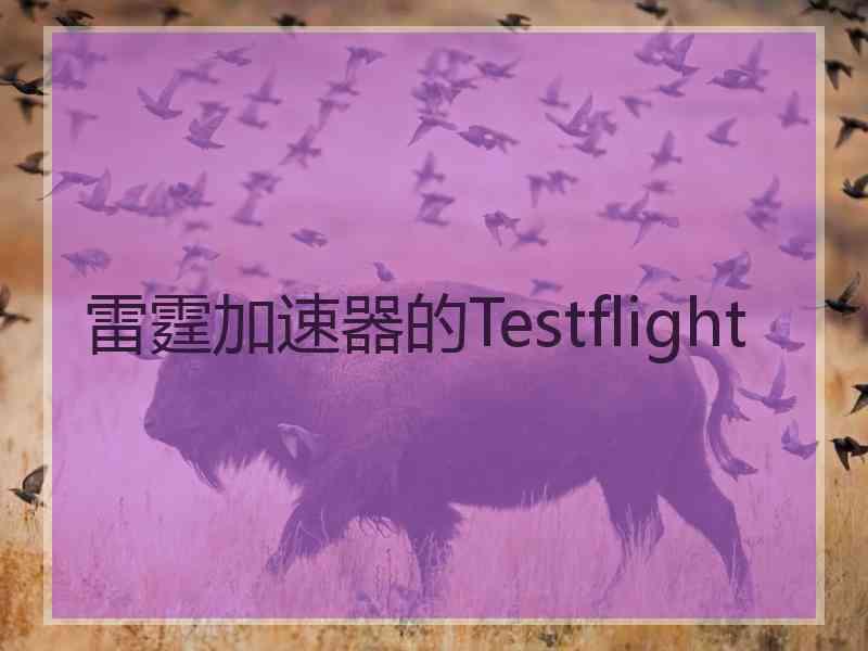 雷霆加速器的Testflight