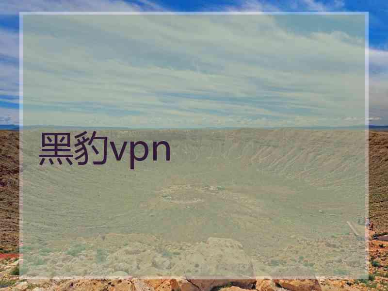 黑豹vpn