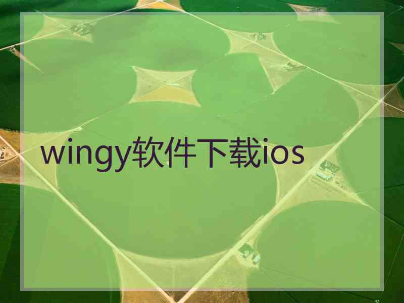 wingy软件下载ios