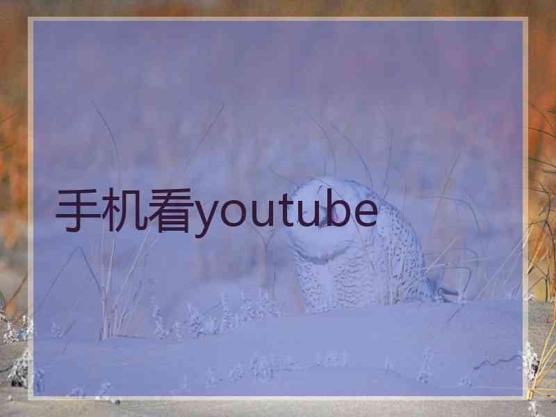 手机看youtube