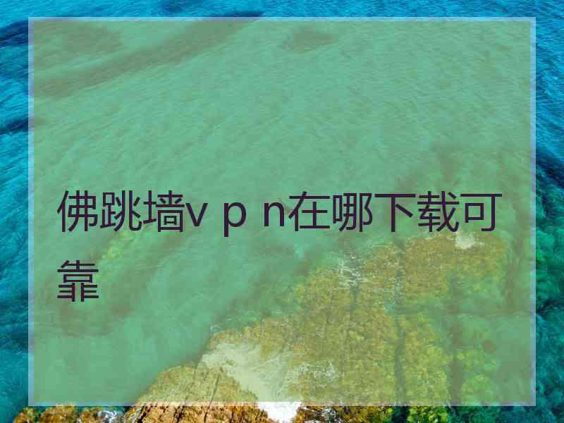 佛跳墙v p n在哪下载可靠