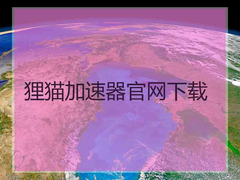 狸猫加速器官网下载