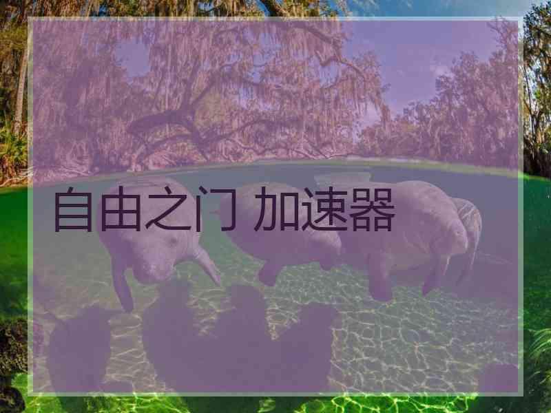 自由之门 加速器