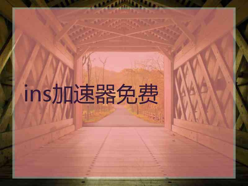 ins加速器免费