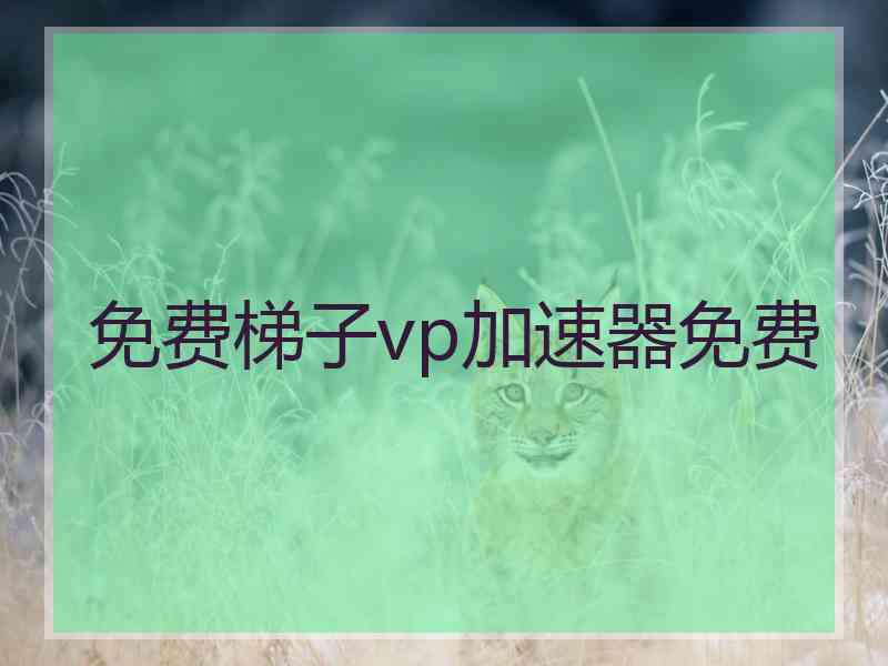 免费梯子vp加速器免费