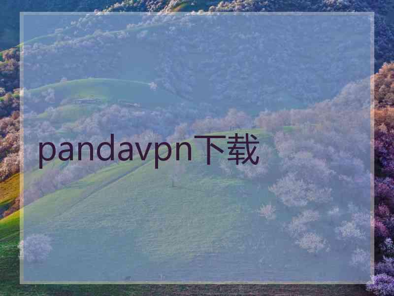 pandavpn下载