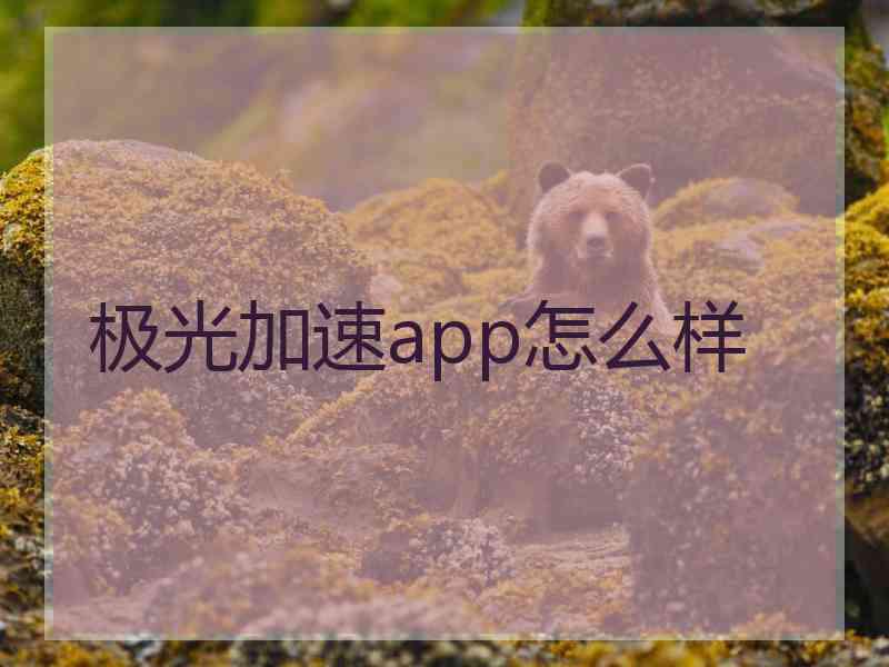 极光加速app怎么样