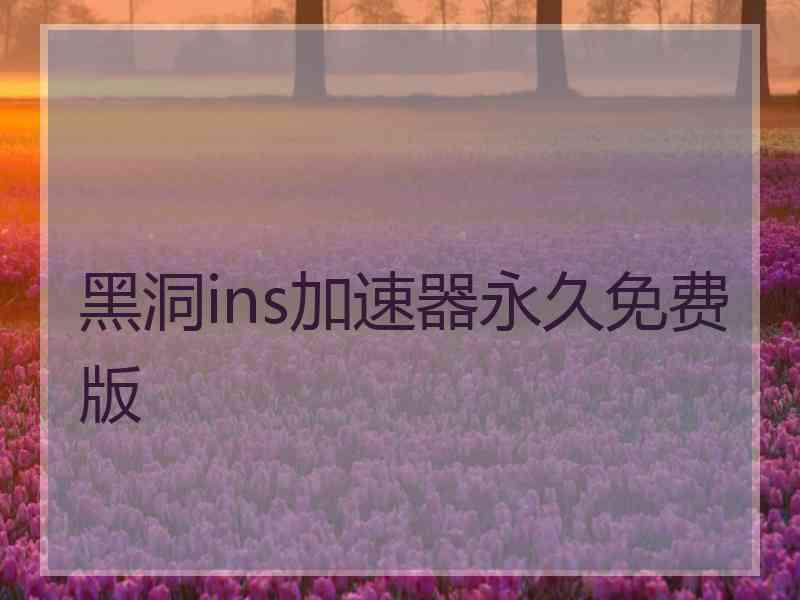 黑洞ins加速器永久免费版