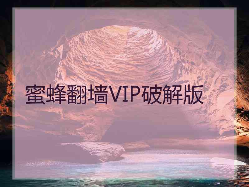 蜜蜂翻墙VIP破解版