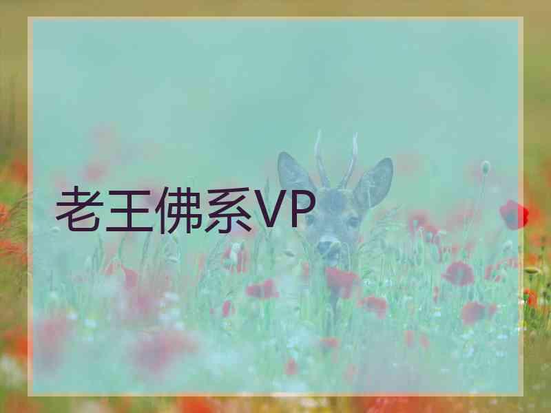 老王佛系VP